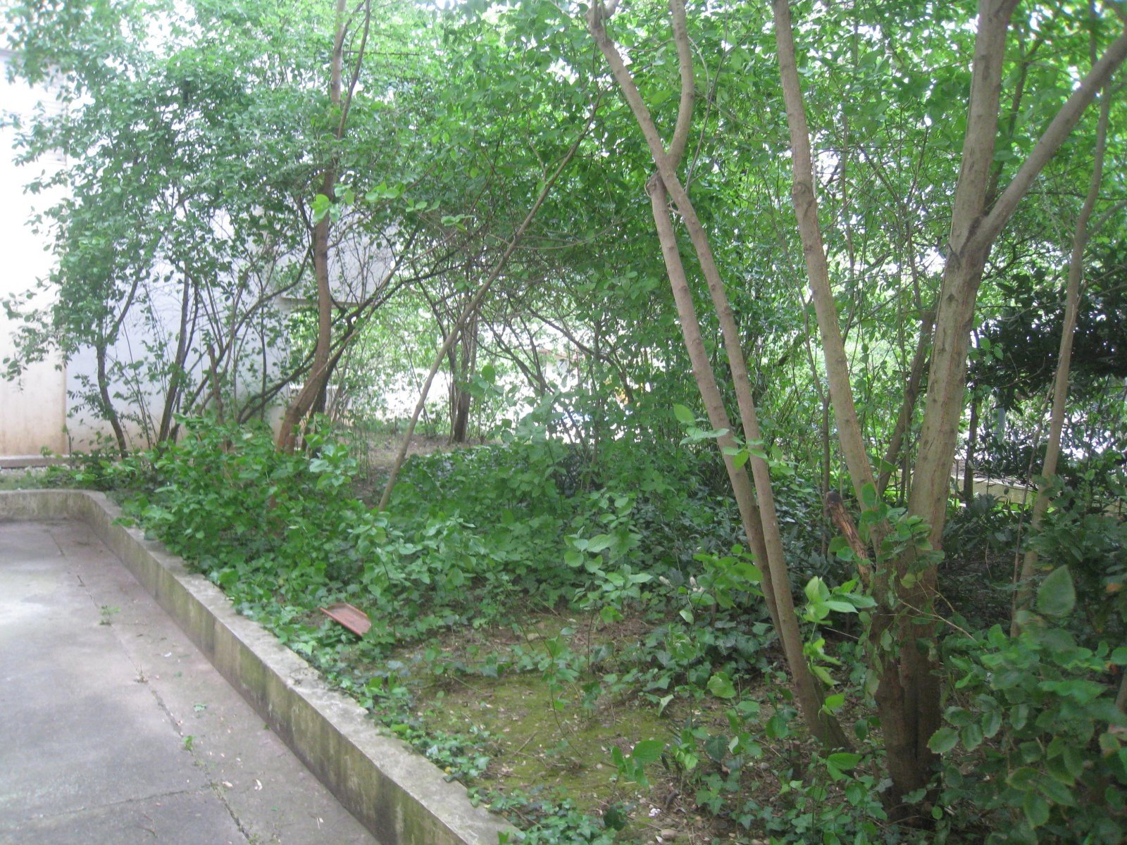3021658 Location Villeurbanne