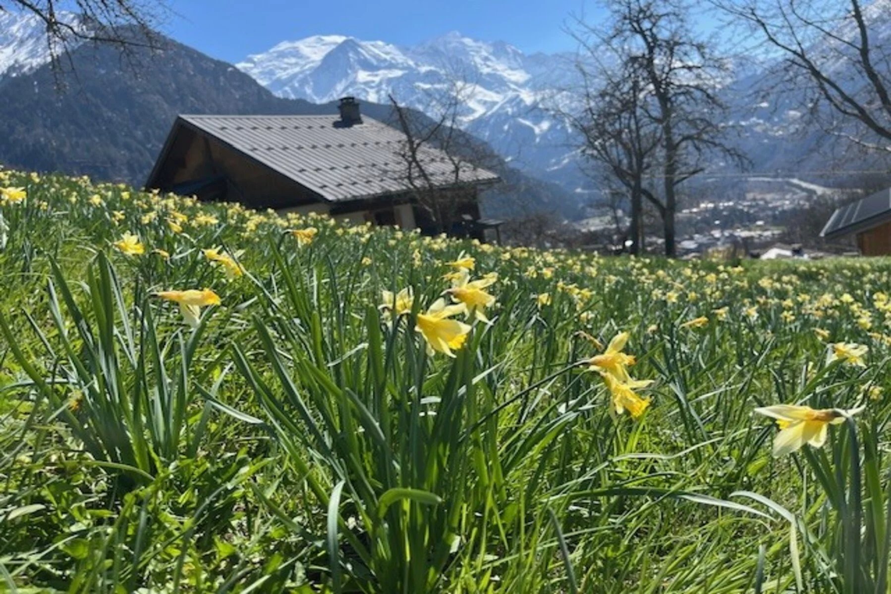 SERVOZ – Sunny plot with Mont-Blanc views Accommodation in Chamonix