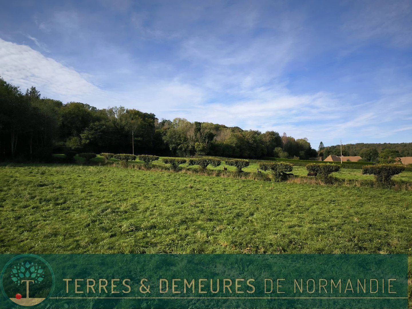 Vente Terrain Cormeilles