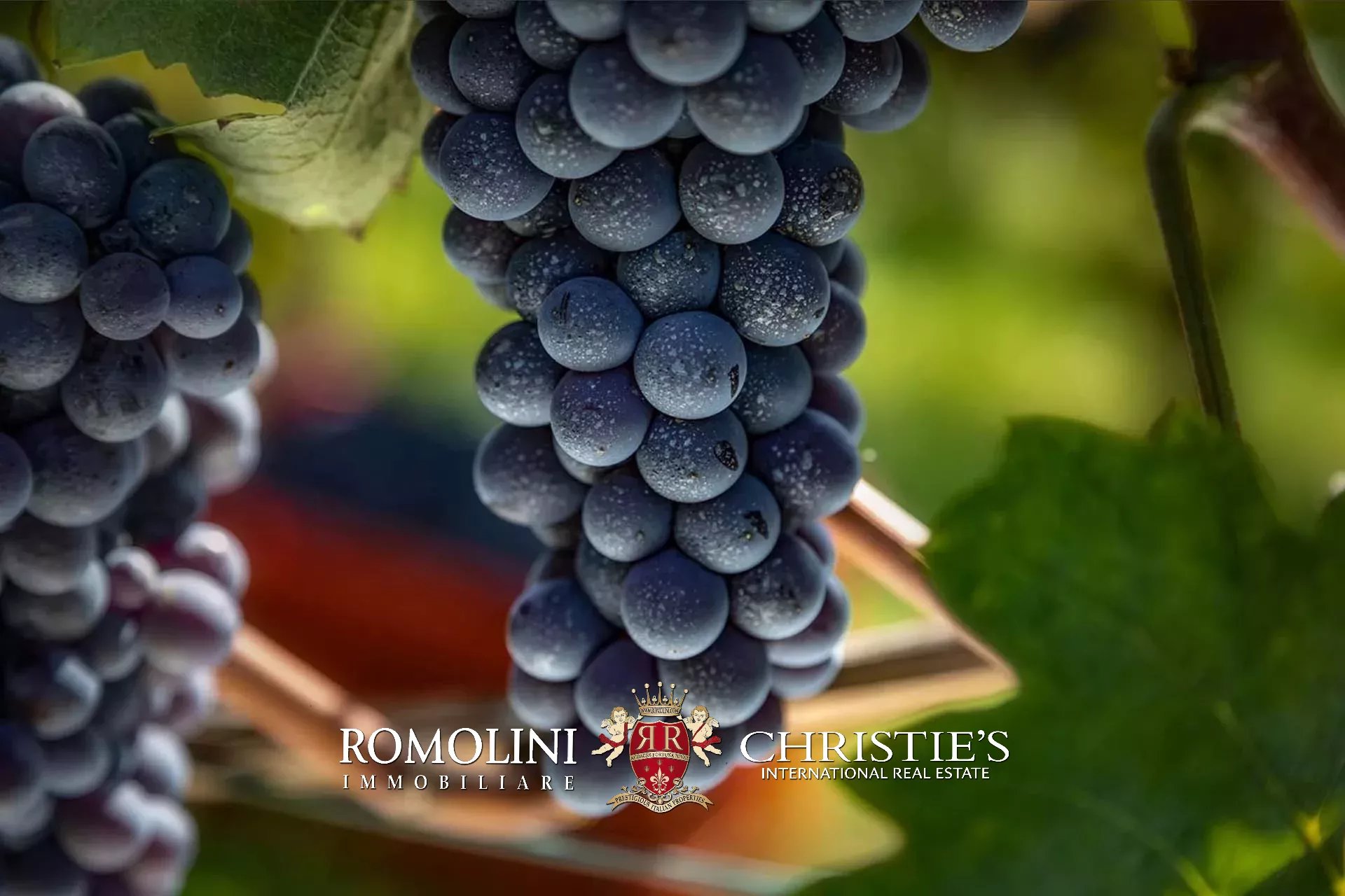 5 Bedroom Vineyard's Image 20
