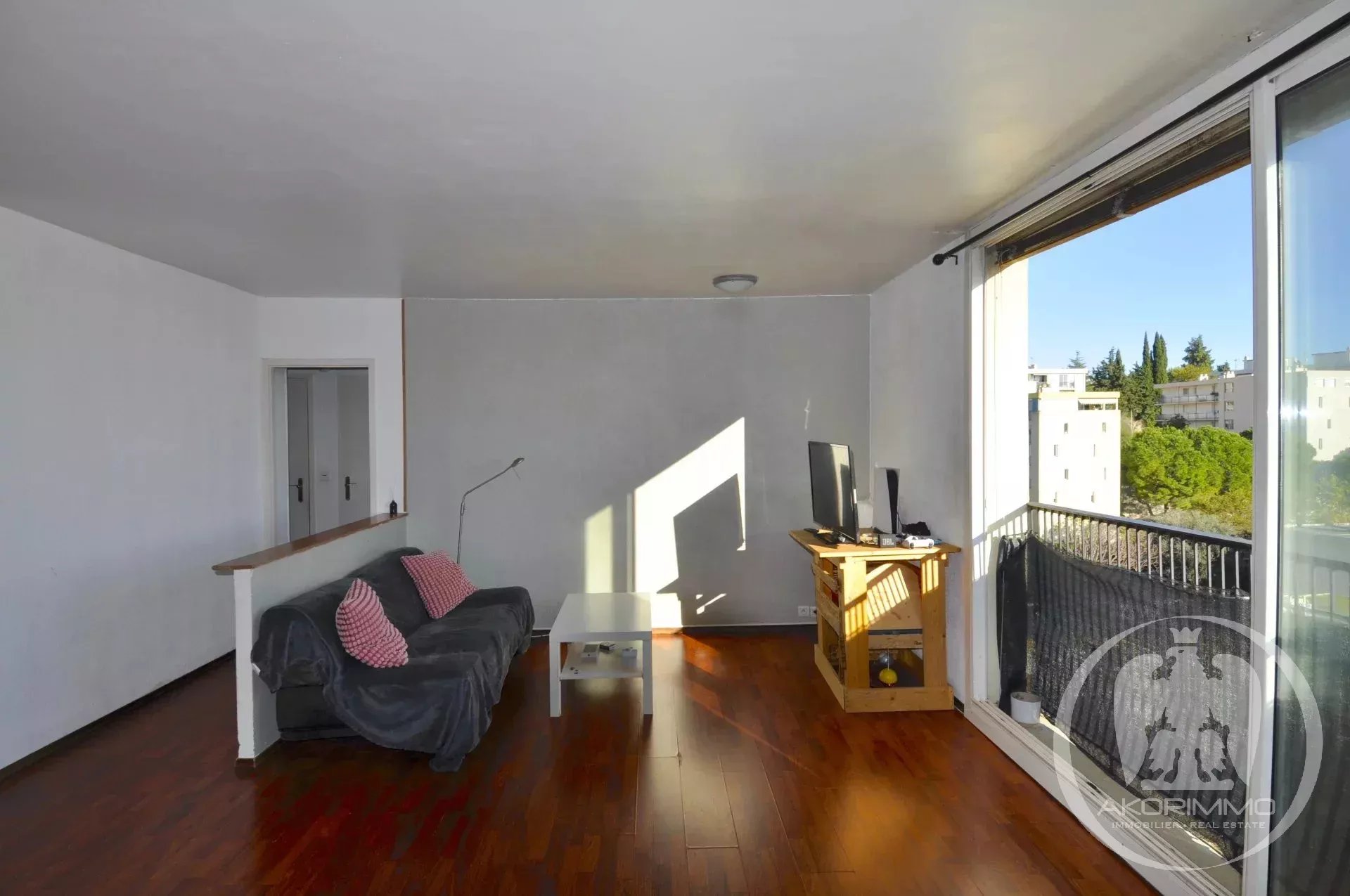 Vente Appartement Nice Le Ray