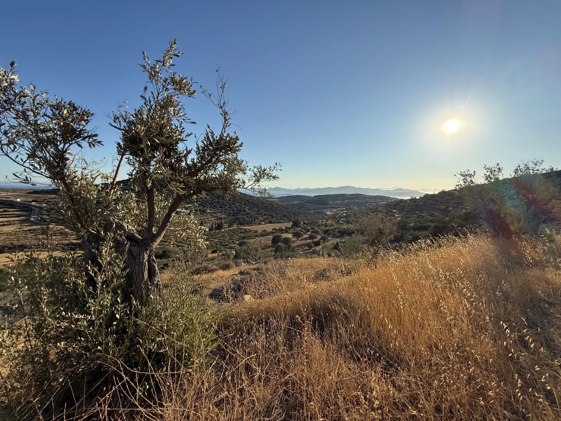Εικόνα ιδιοκτησίας 12