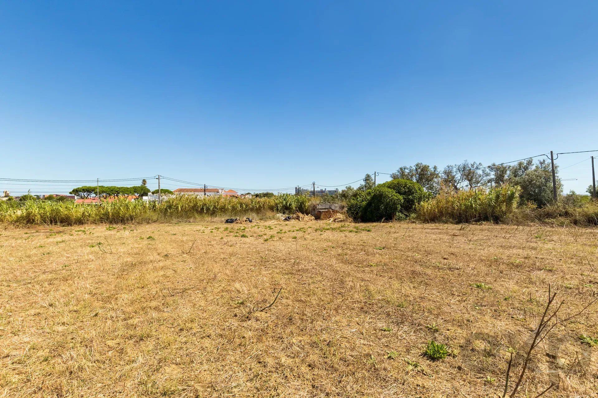 Land with Tagus view 86176491 image 8