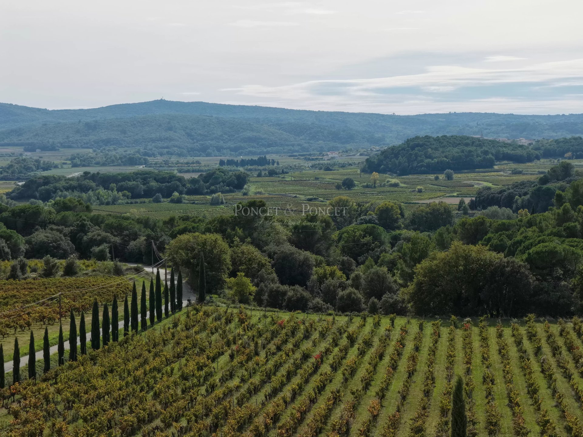 5 Bedroom Villa/Townhouse's Image 14