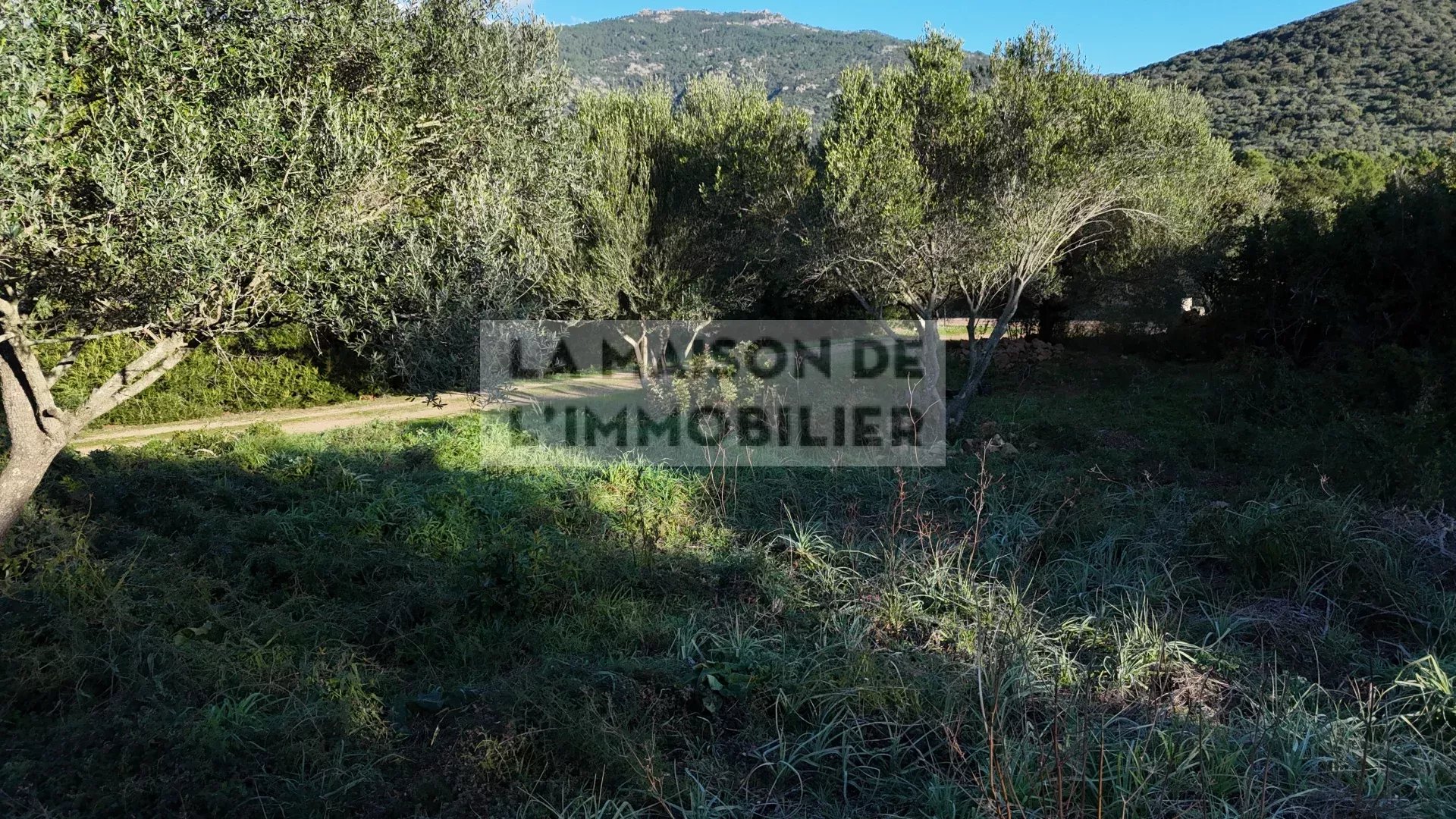 Agence immobilière de La Maison de l'Immobilier