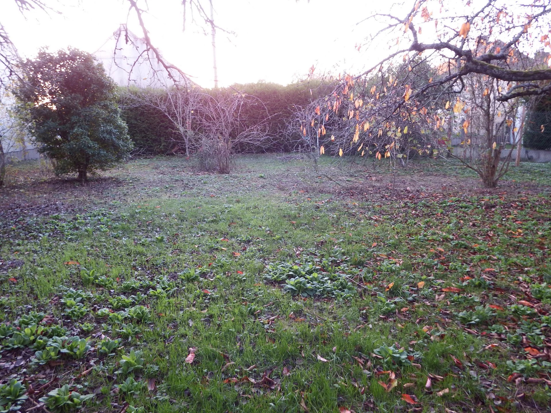 Vente Terrain Lorrez-le-Bocage-Préaux