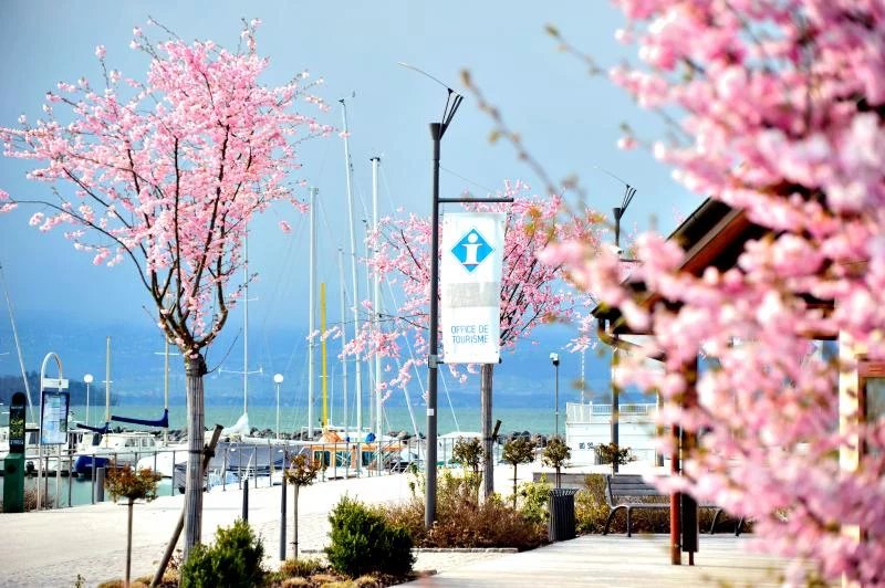 Agence immobilière de Invest & Immo