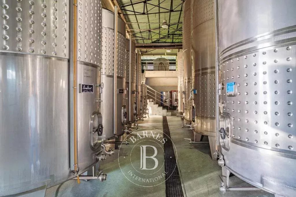 Sur les rives de la rivière Cávado Sur les rives de la rivière Cávado