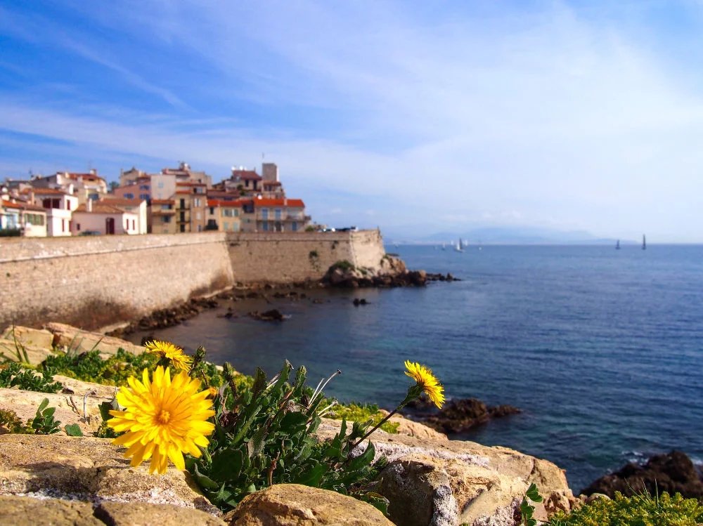 Vente Commerce Antibes