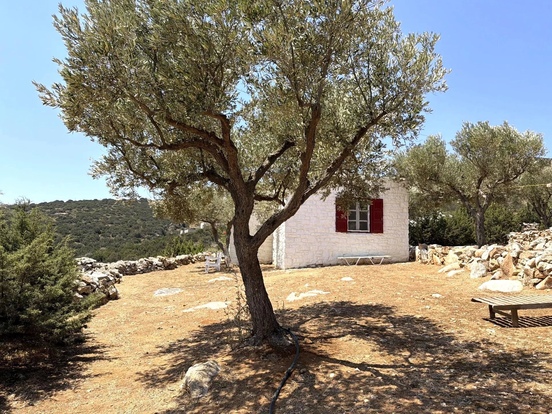 Image de la propriété 54
