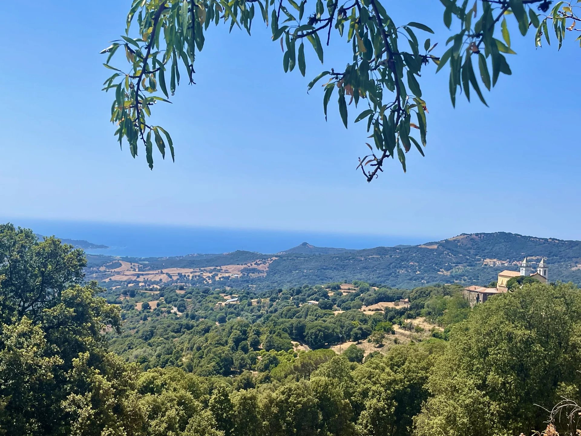 Sale House Sari-d'Orcino