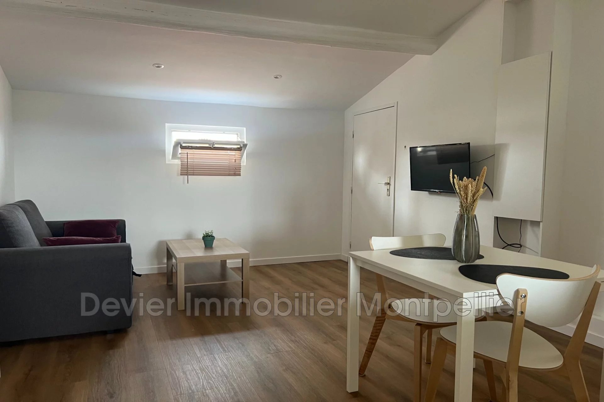 Location Appartement Montpellier