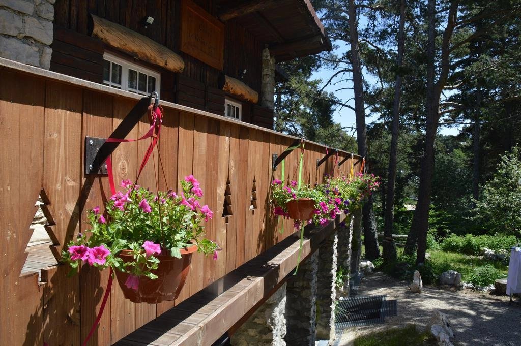 Vente Chalet Beaumont-du-Ventoux