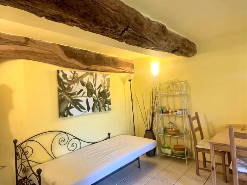 Maison d'hôtes à vendre L'Isle-en-Dodon, Haute-Garonne