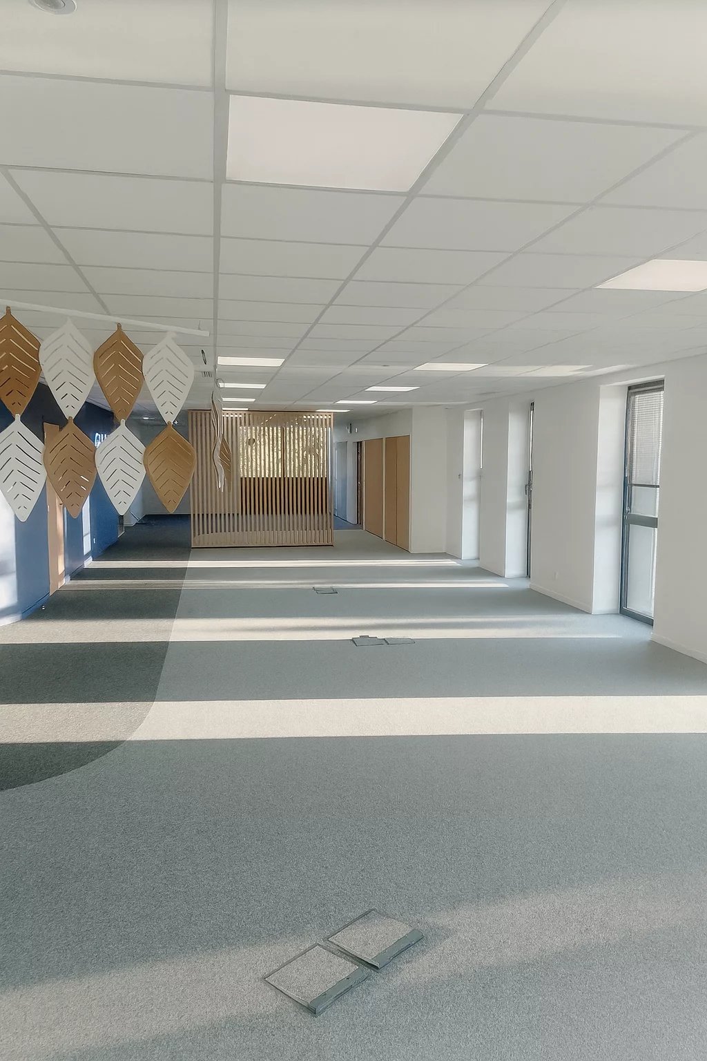 Bureaux neufs 370 m2 disibles