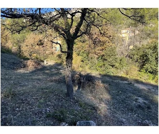 Agence immobilière de REVE PROVENCAL IMMOBILIER