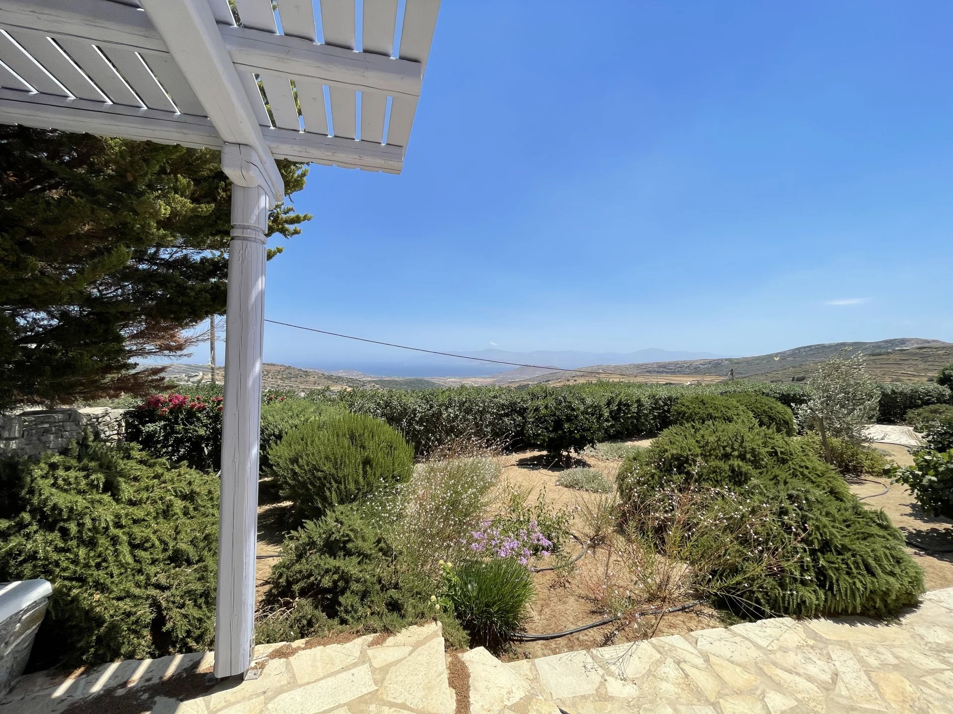 Εικόνα ιδιοκτησίας 28