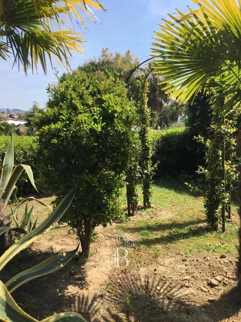 Villa Sanremo - picture 4