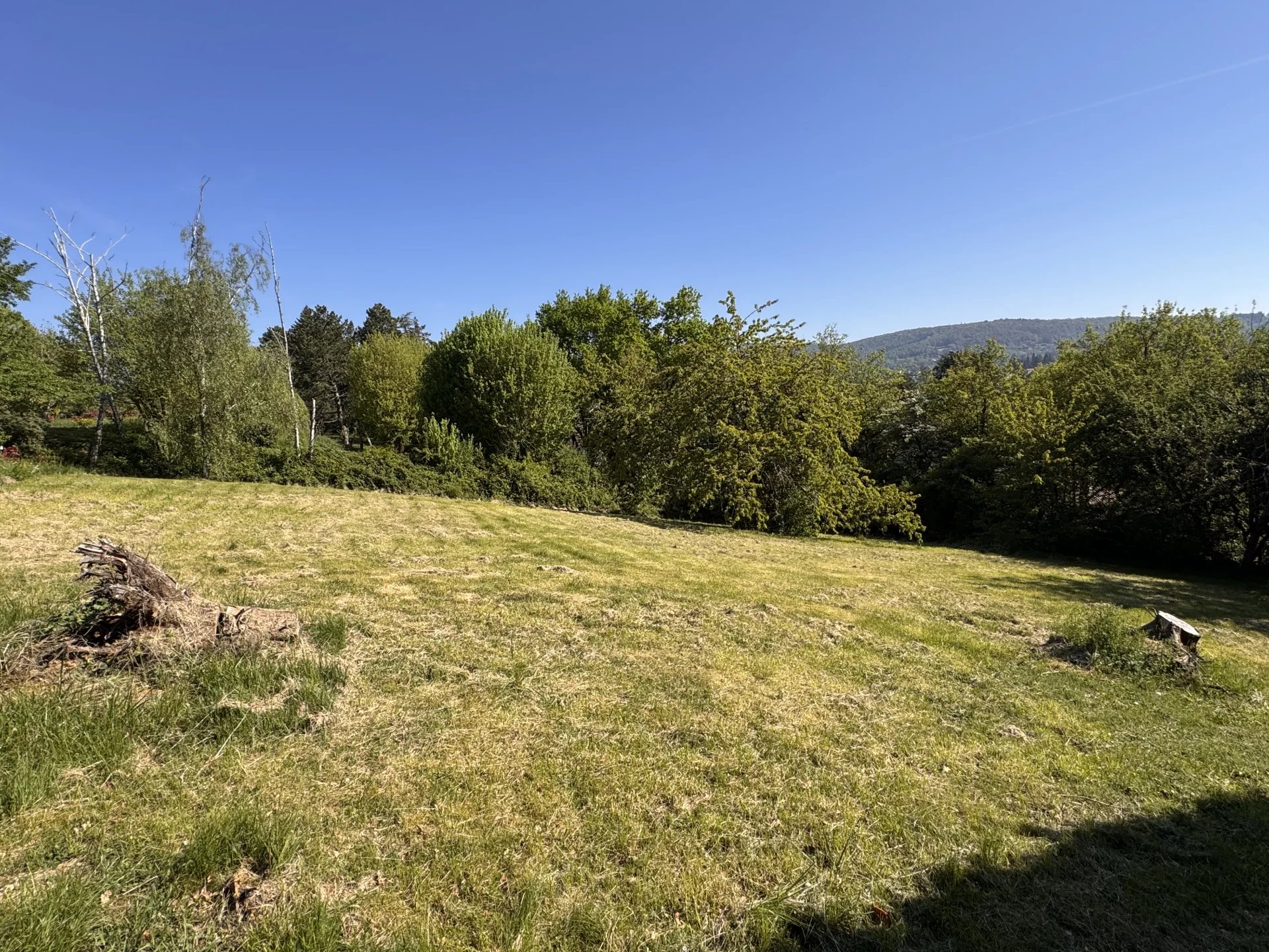 Rare Grand Terrain Dardilly