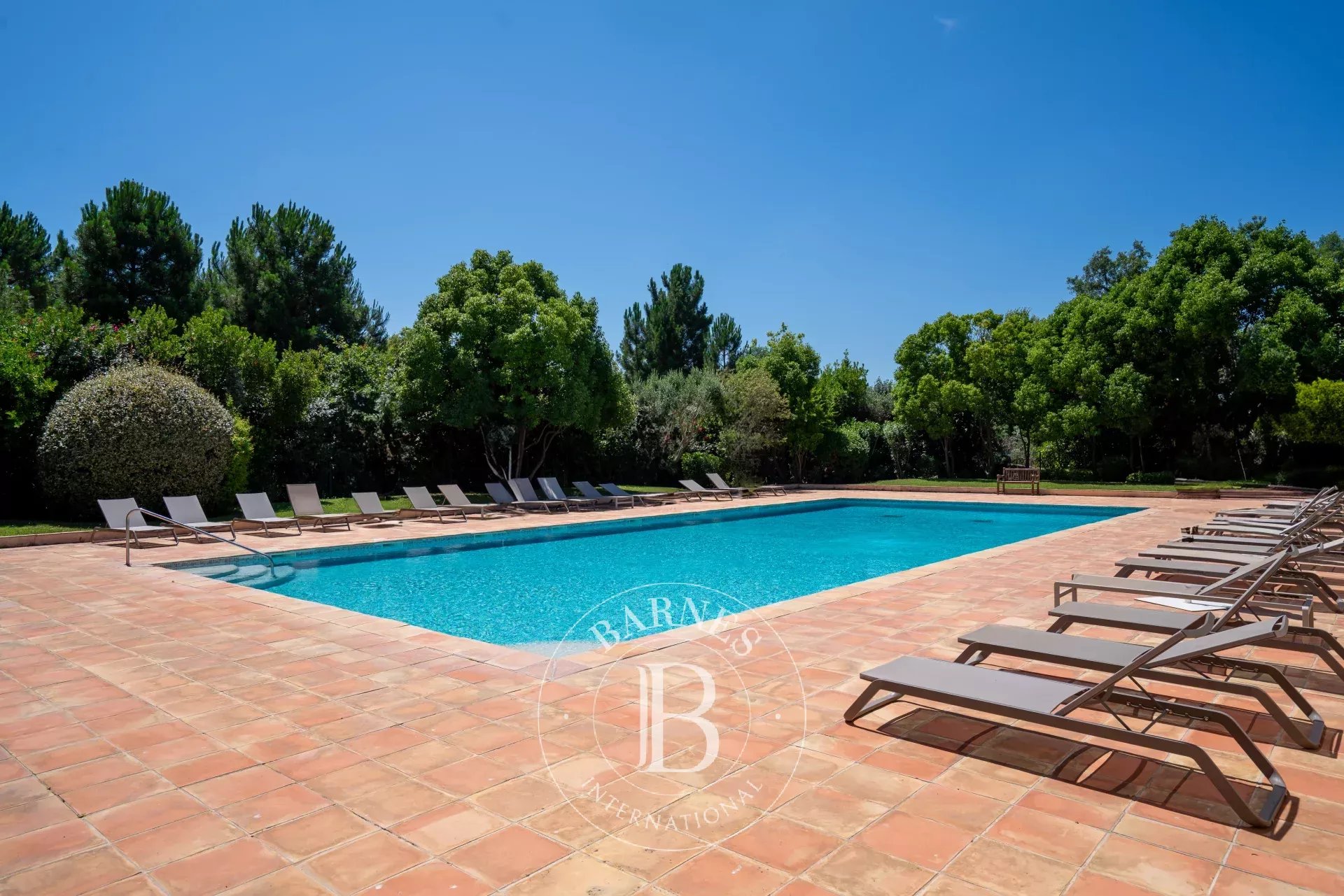 Ev Gassin - picture 9