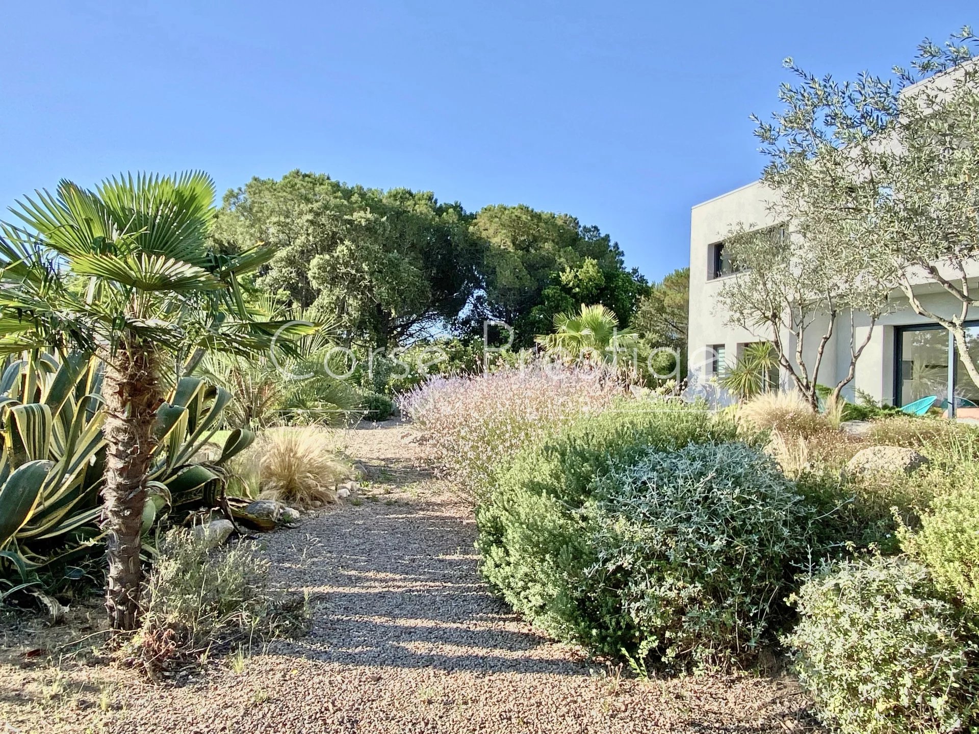 villa contemporaine dans un ecrin de nature - porto vecchio image8