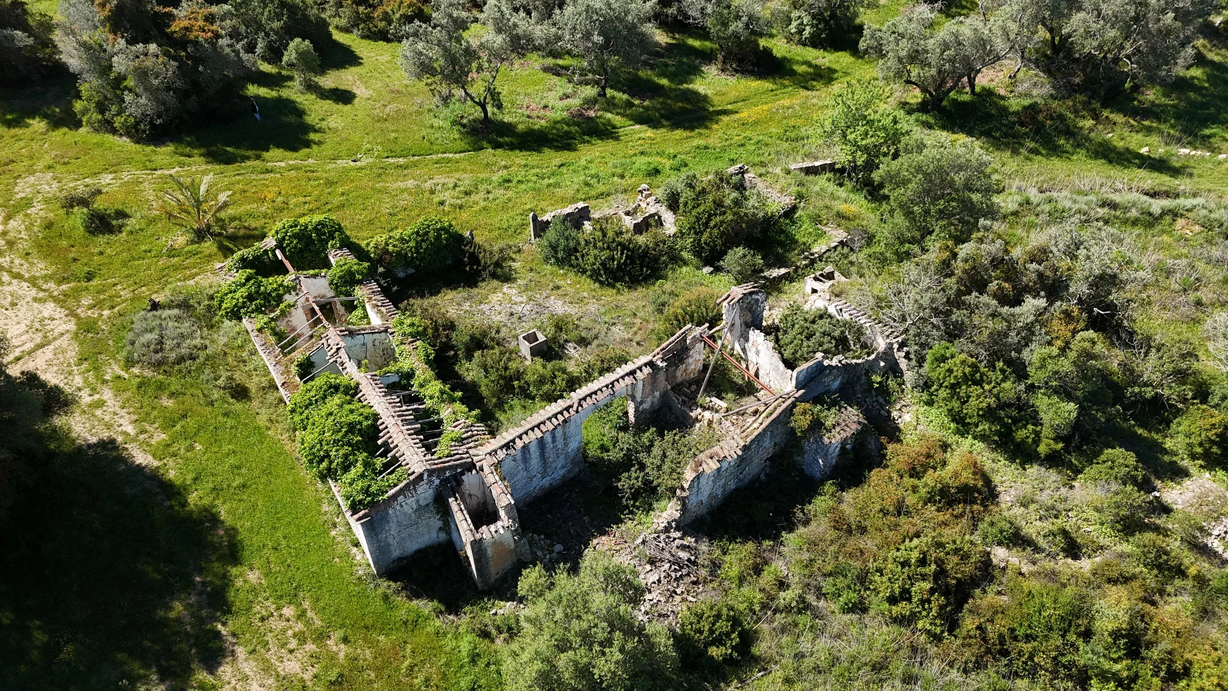 Ruins with Approved Project | 750m² of Construction | 39,960m² of Land | Santa Bárbara de Nexe 86965238 image 4