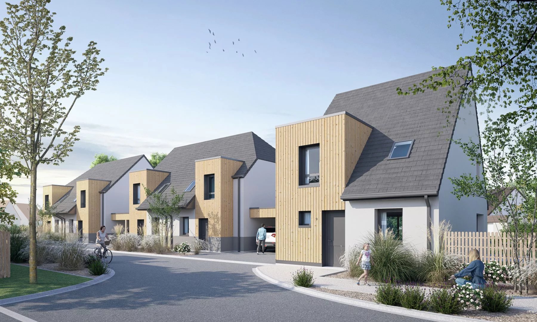 Agence immobilière de ELIM