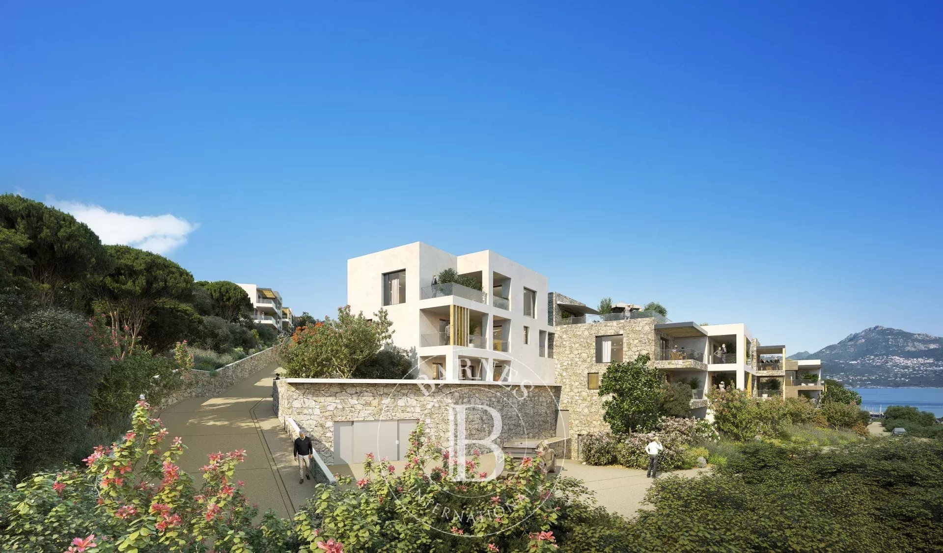 Appartement Calvi  -  ref 87218011 (picture 1)