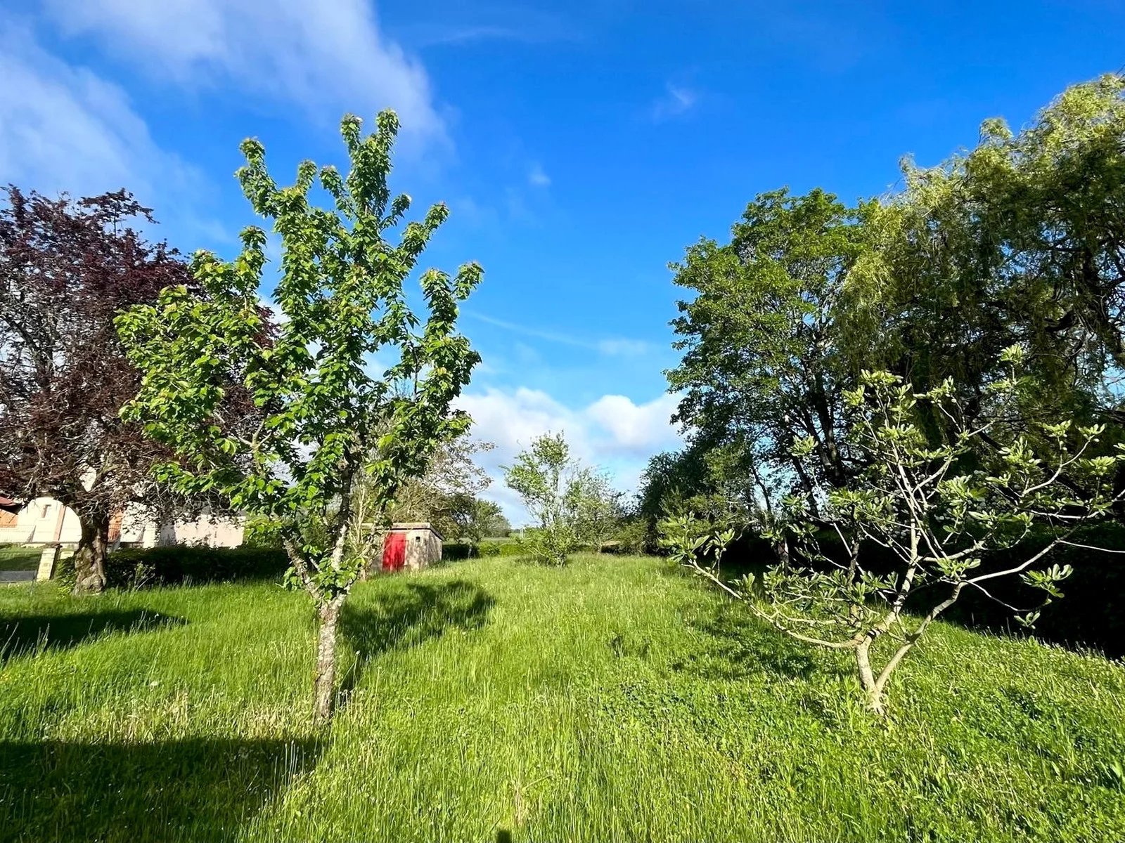 Vente Terrain constructible Mervans