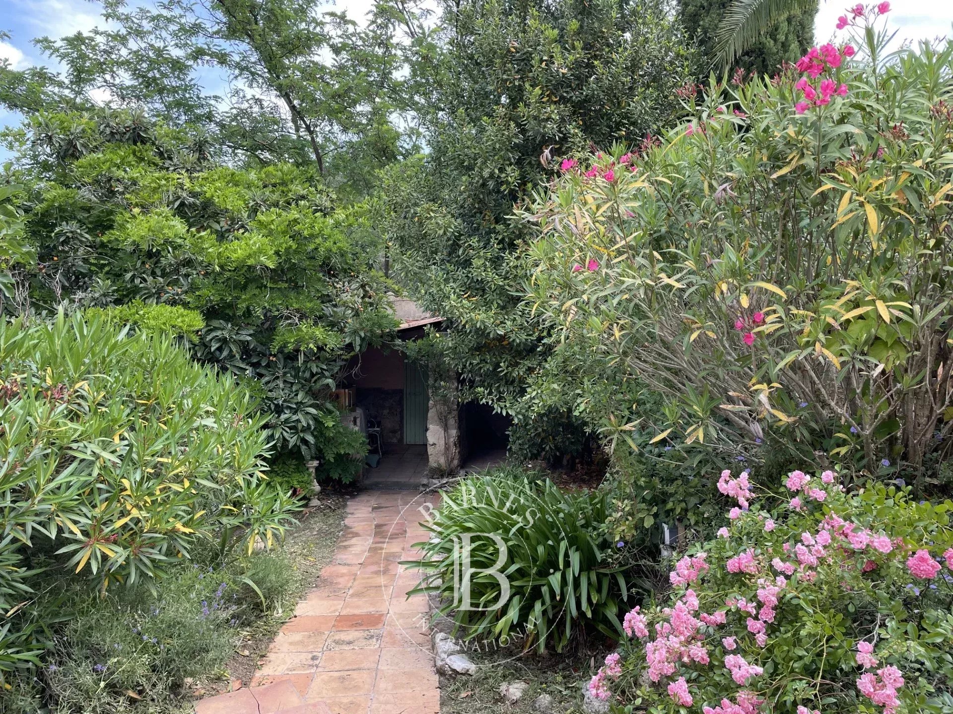 Çiftlik Céret - picture 15