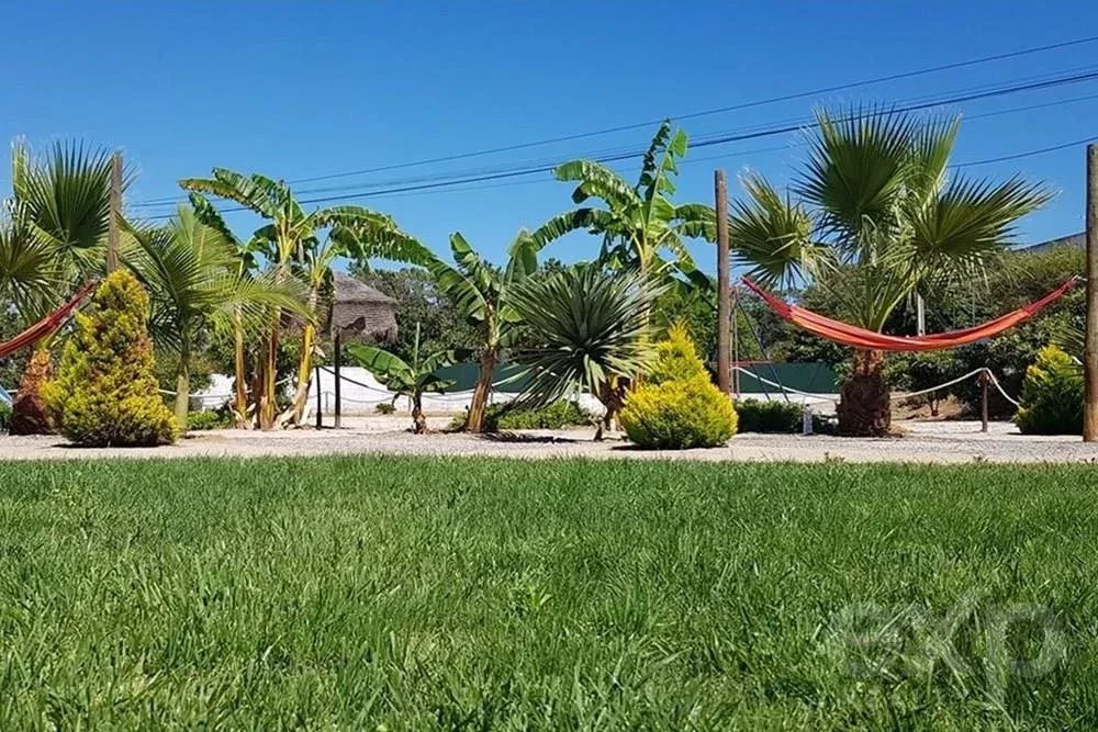 Quinta com 3 Moradias, Pechão, Olhão