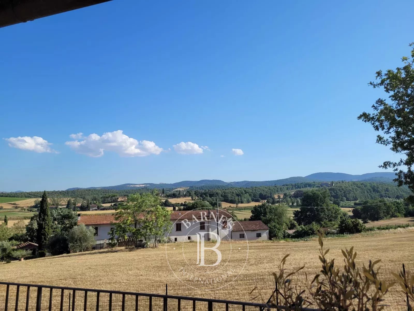 Villa Sinalunga - picture 29