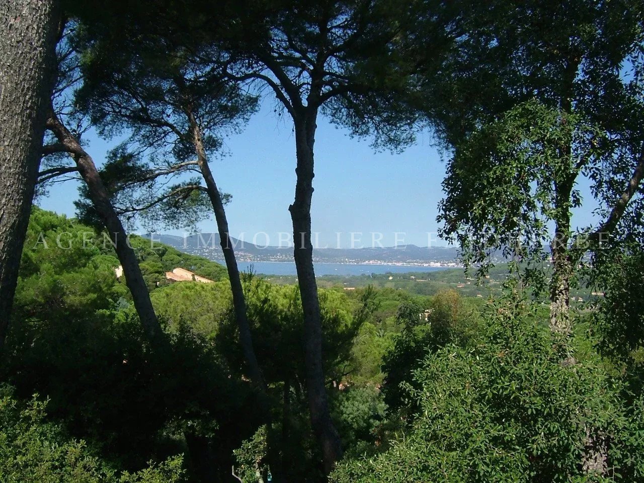 Agence immobilière de STAES IMMOBILIER