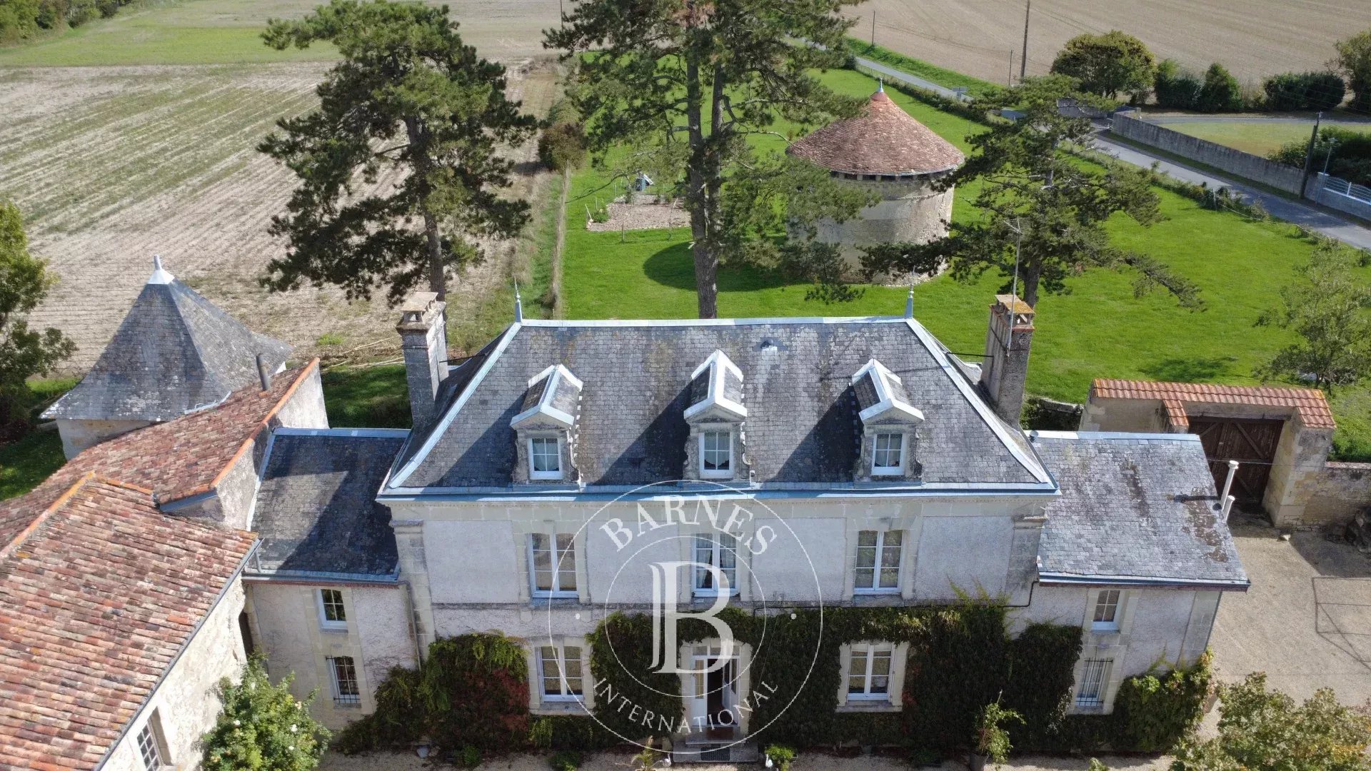 Poitiers  - Manoir 8 Pi&egrave;ces 4 Chambres - picture 17