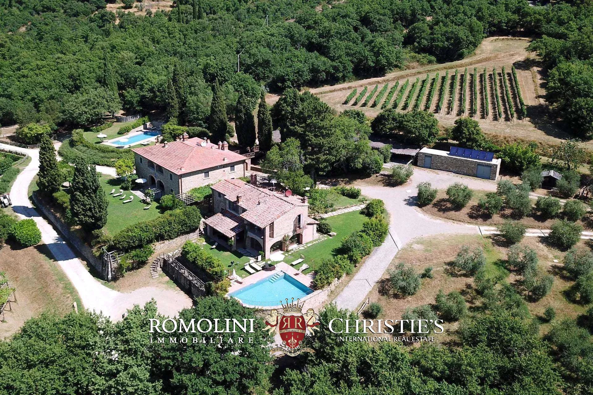 TENUTA VINICOLA BIOLOGICA IN VENDITA, CANTINA BIO TOSCANA
