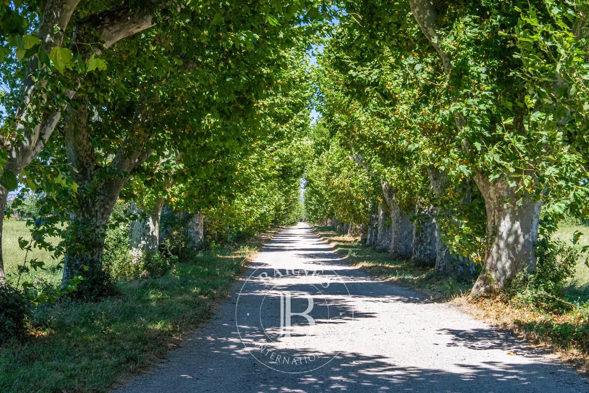 Çiftlik Salon-de-Provence - picture 11