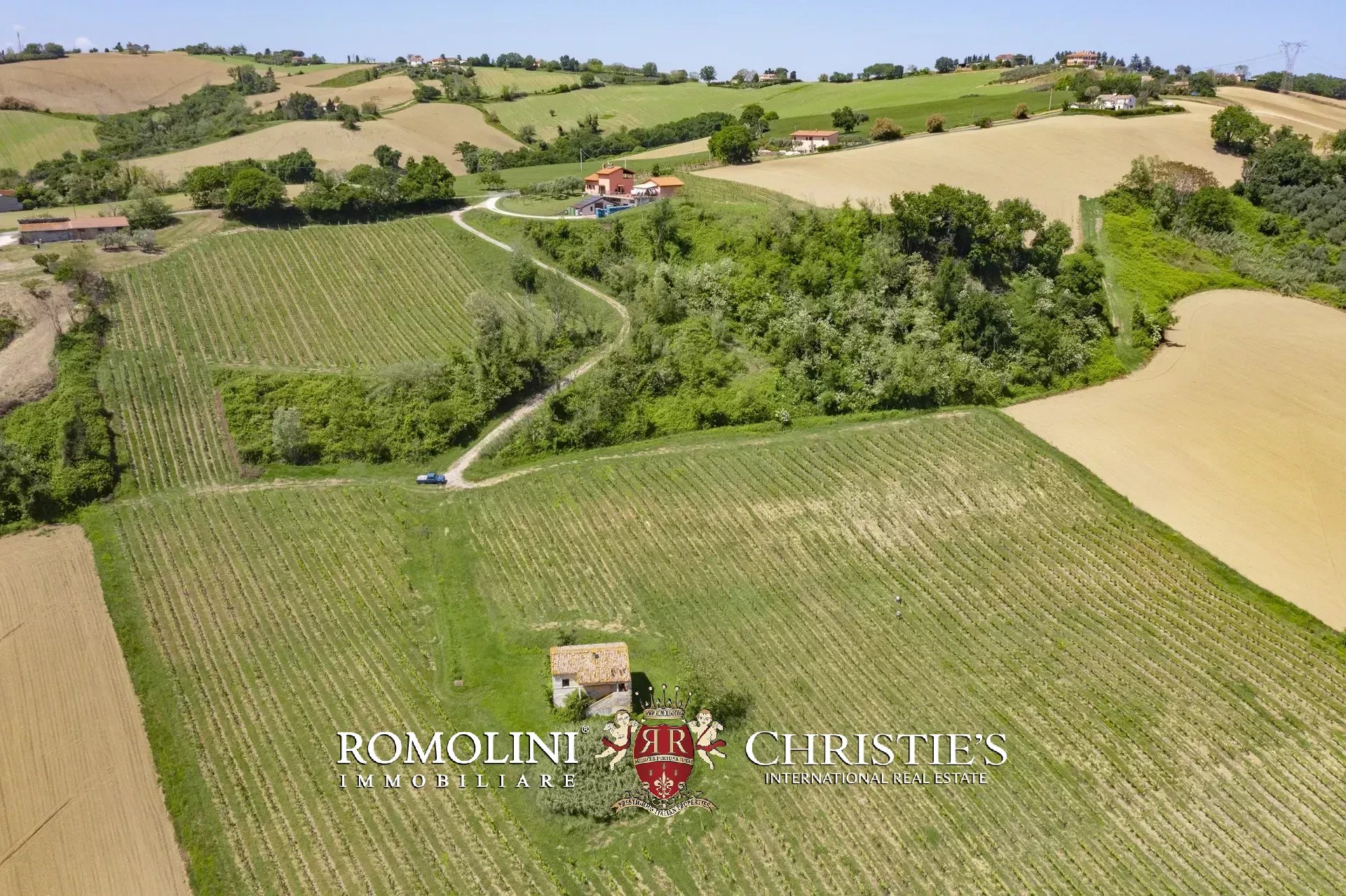 5 Bedroom Vineyard's Image 4