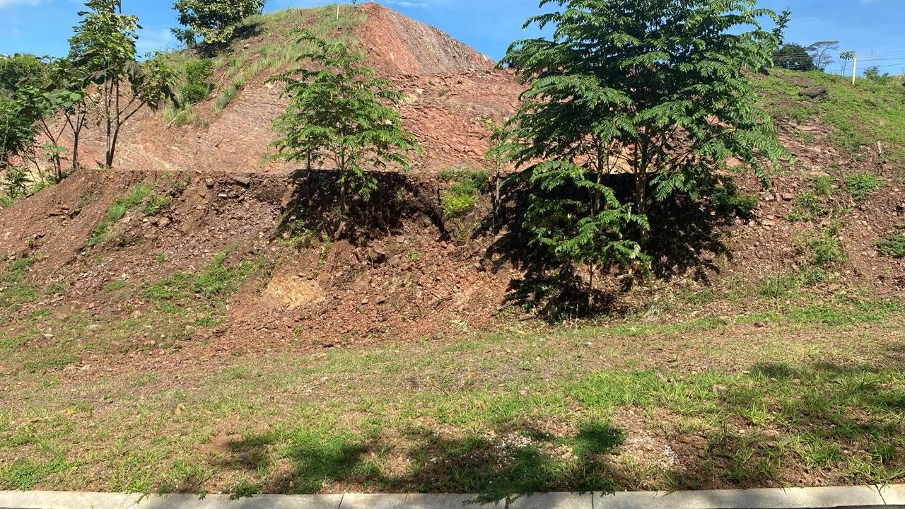 Venta Terreno Santa Cruz