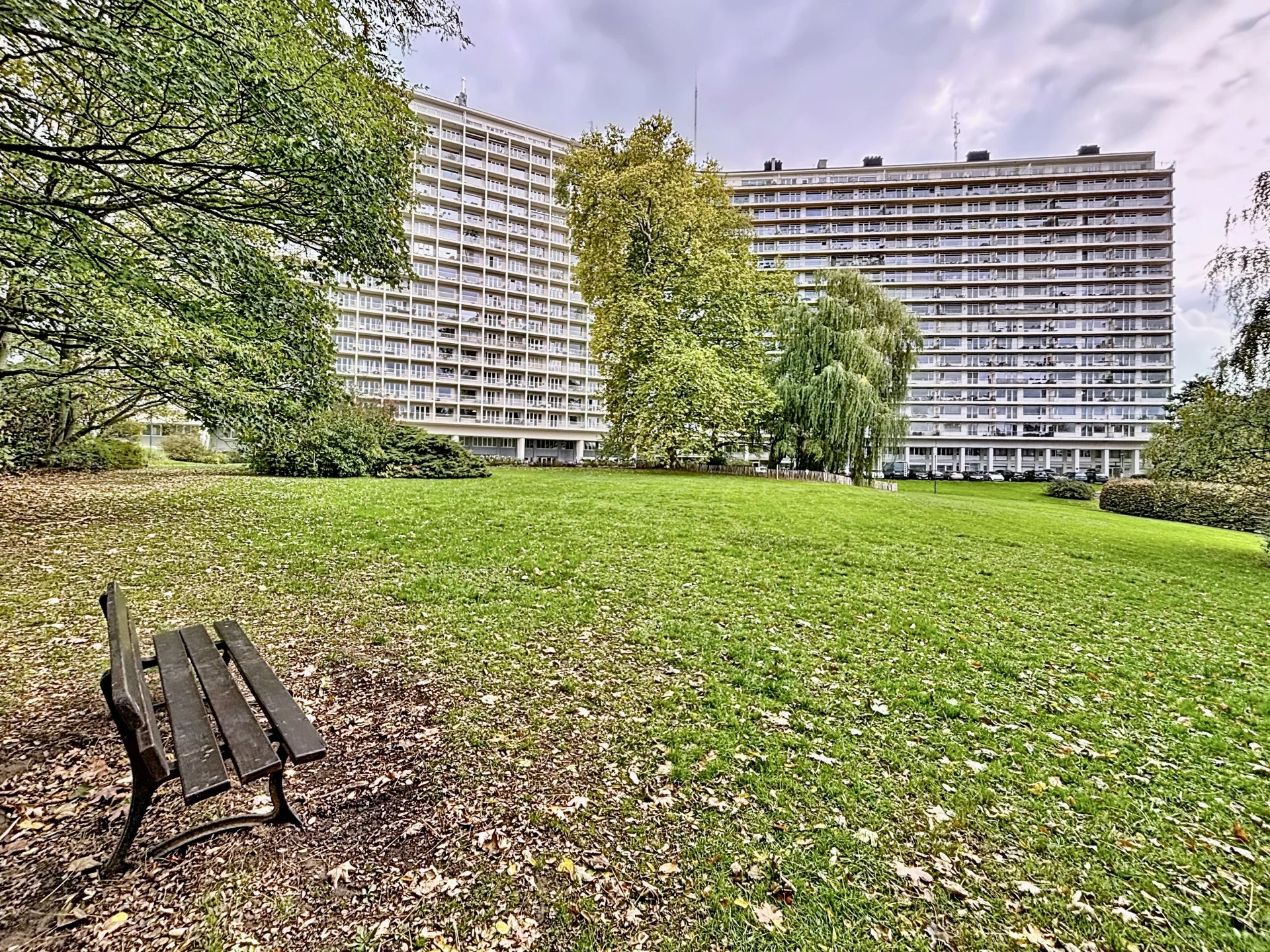 Daire Forest - picture 11