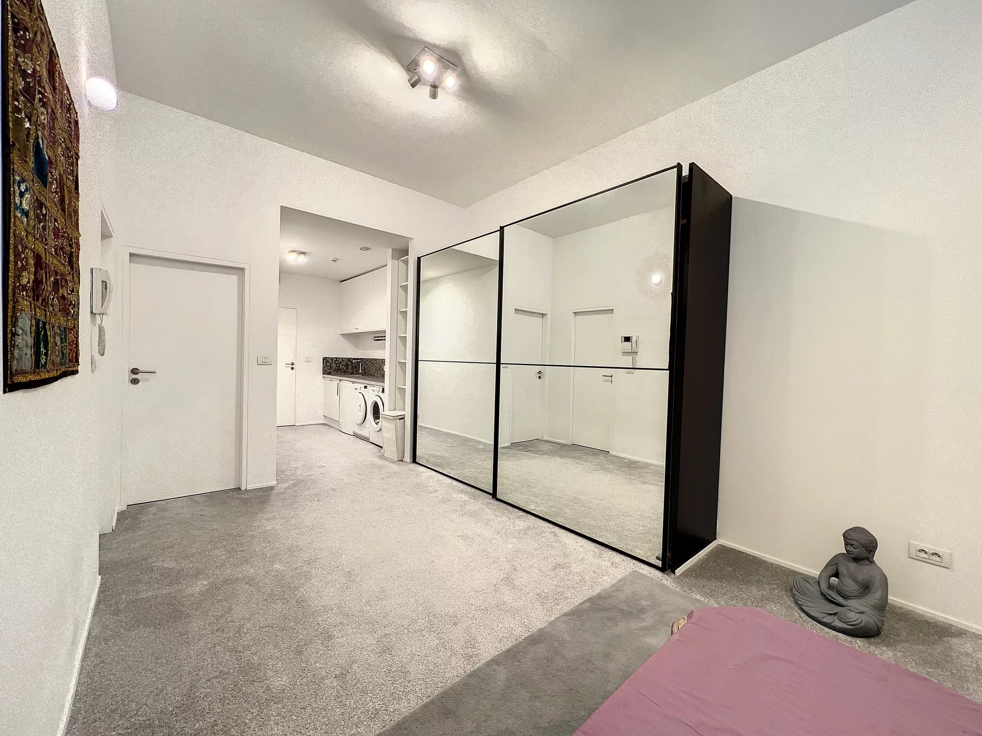 Ev Ixelles - picture 4