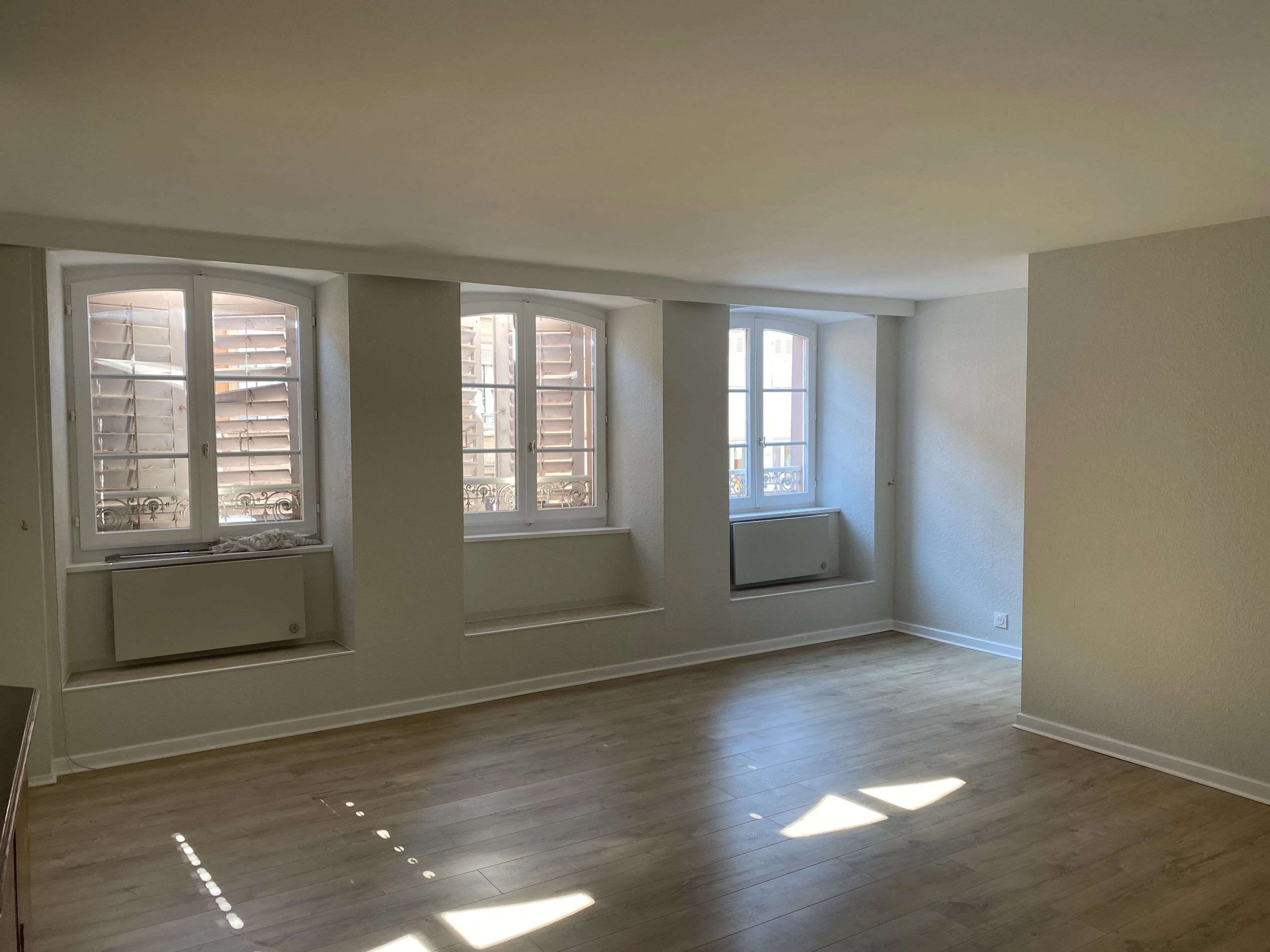 CENTRE VILLE APPARTEMENT UNE PIECE ALTKIRCH — photo 6