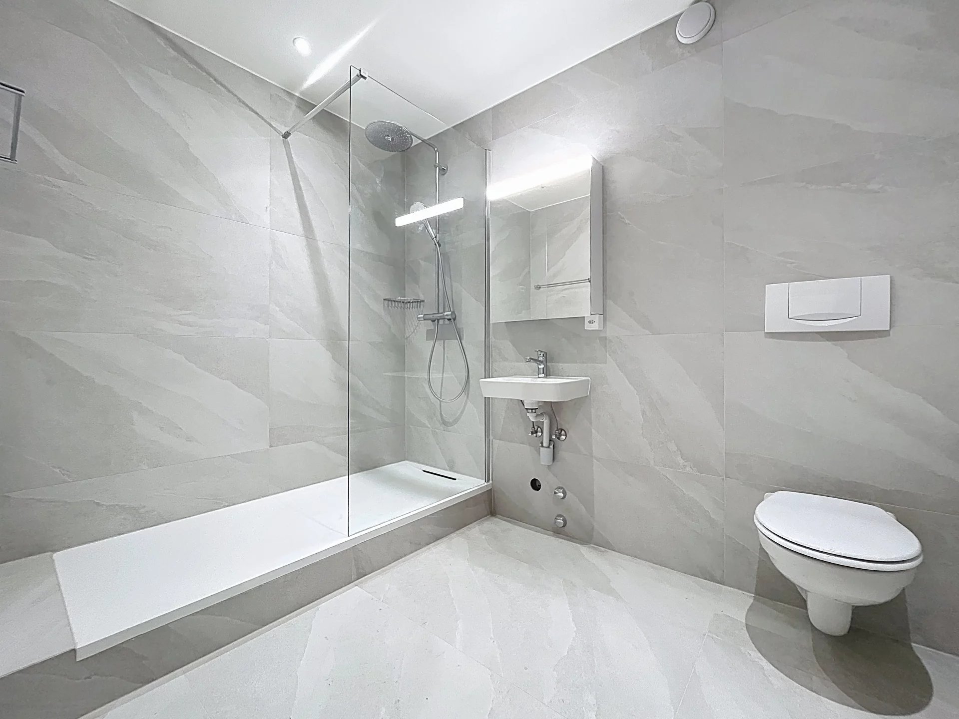 Appartement rénové de 3,5 pièces