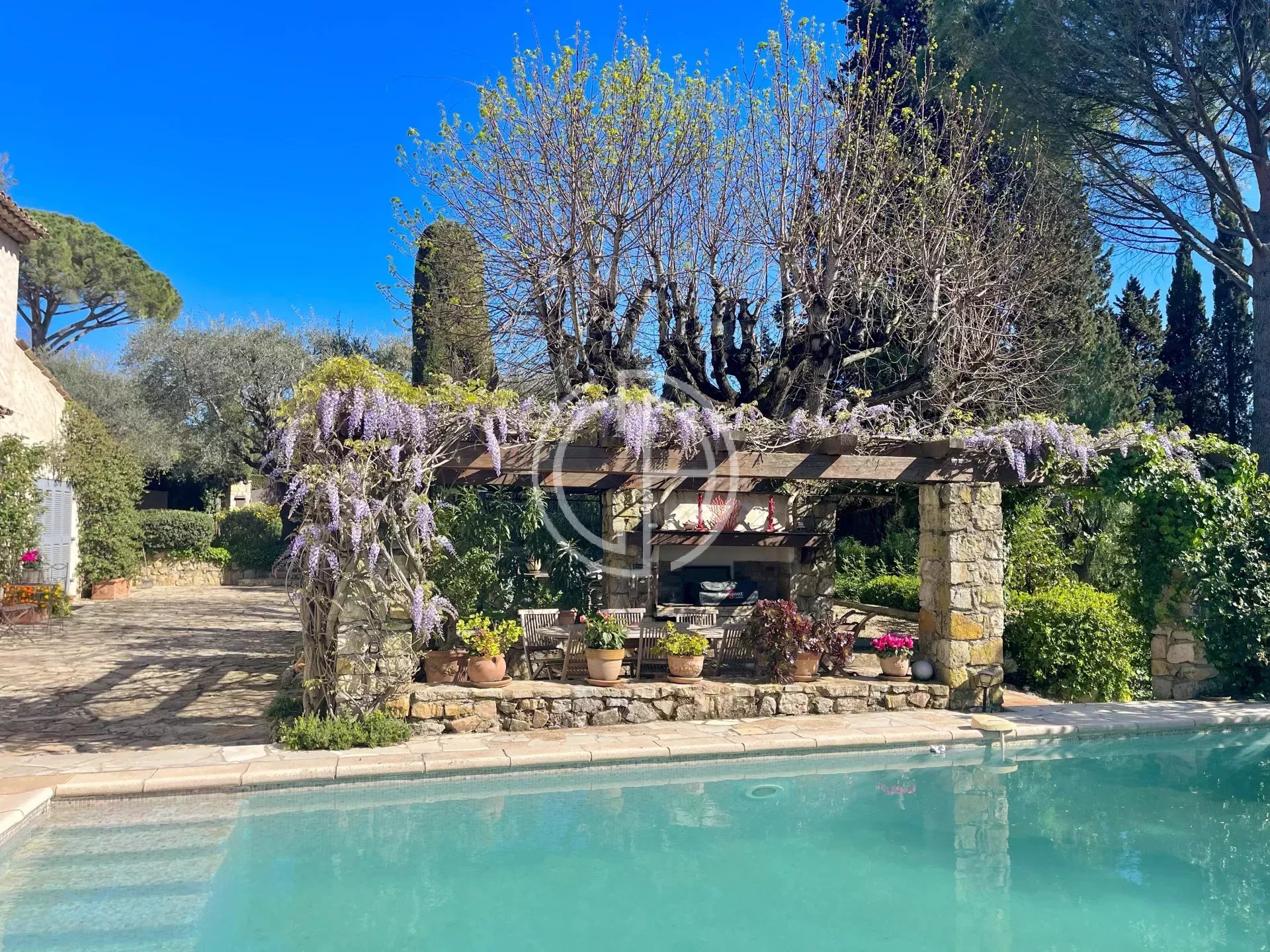 Agence immobilière de Collection d'Azur