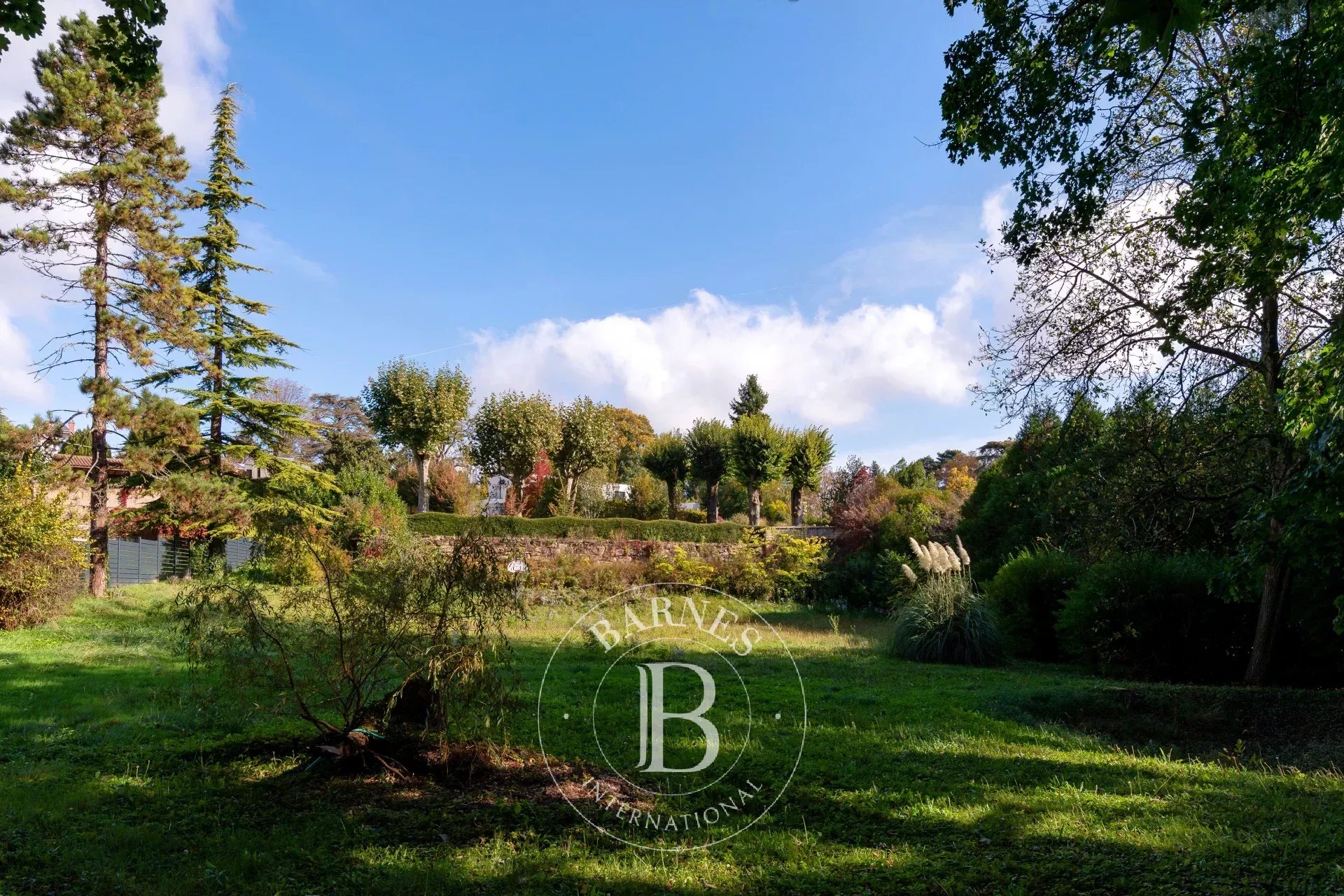 Arazi Saint-Cyr-au-Mont-d'Or - picture 5