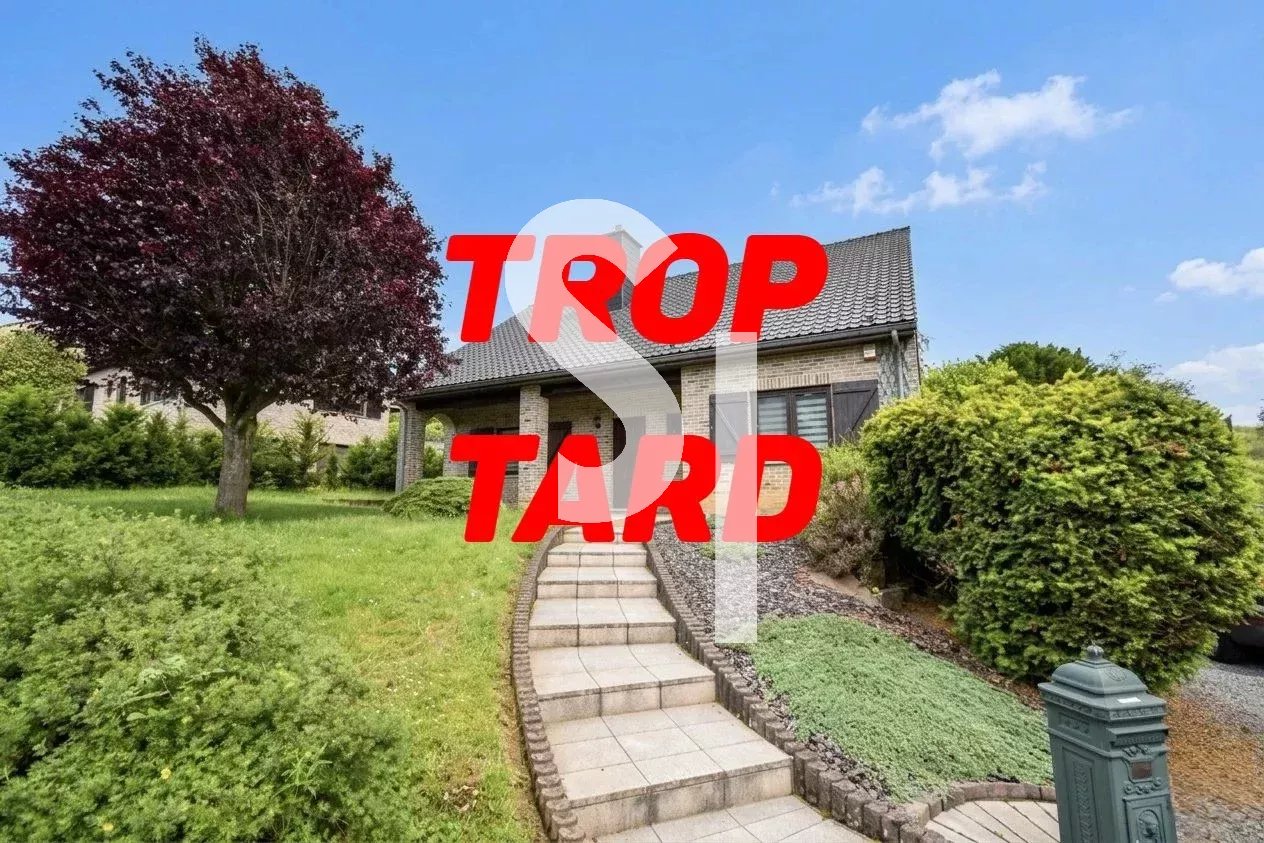 Rental House Messancy