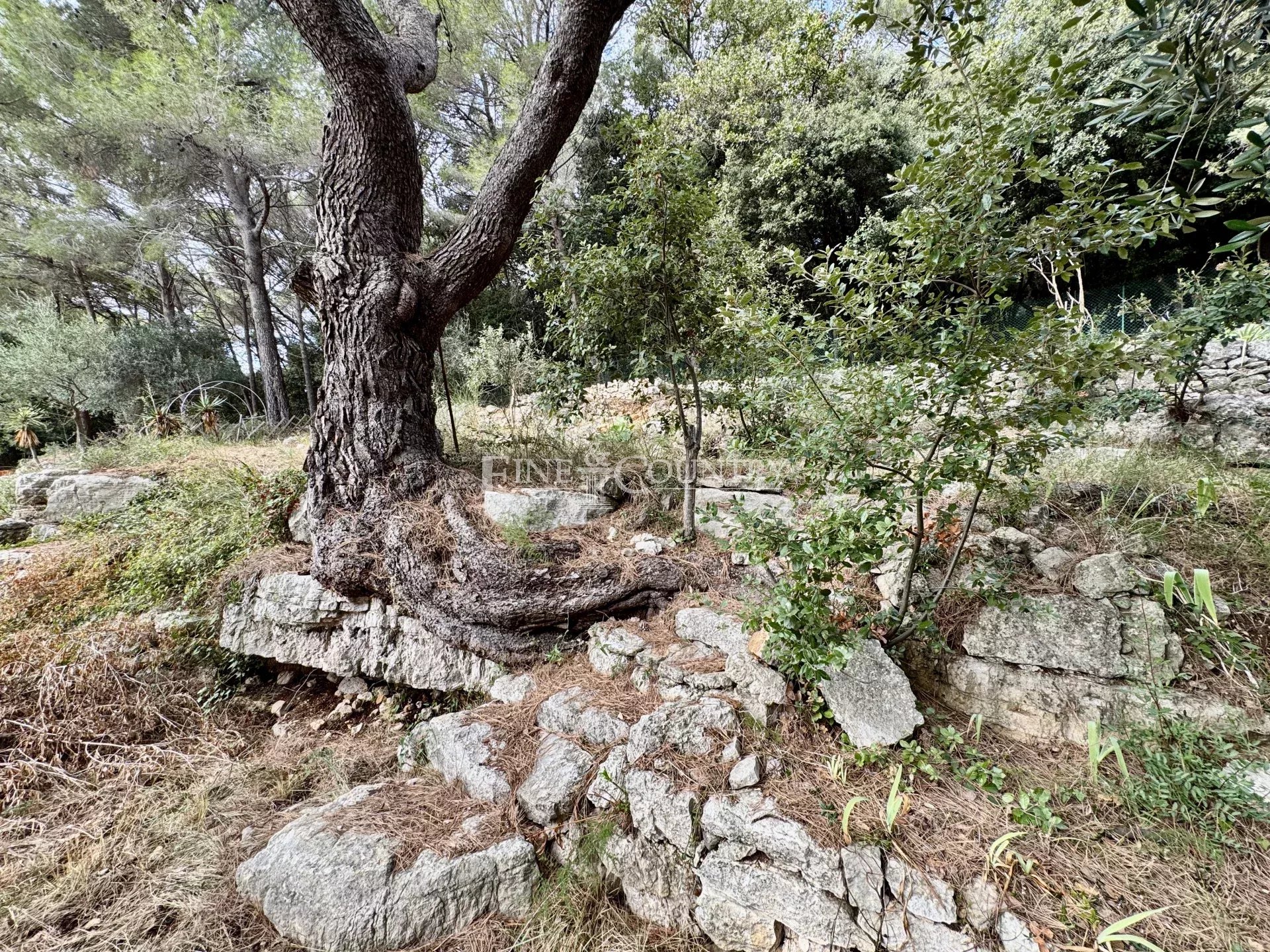 Photo of Villa for sale near Antibes in Vallauris with panoramic sea view