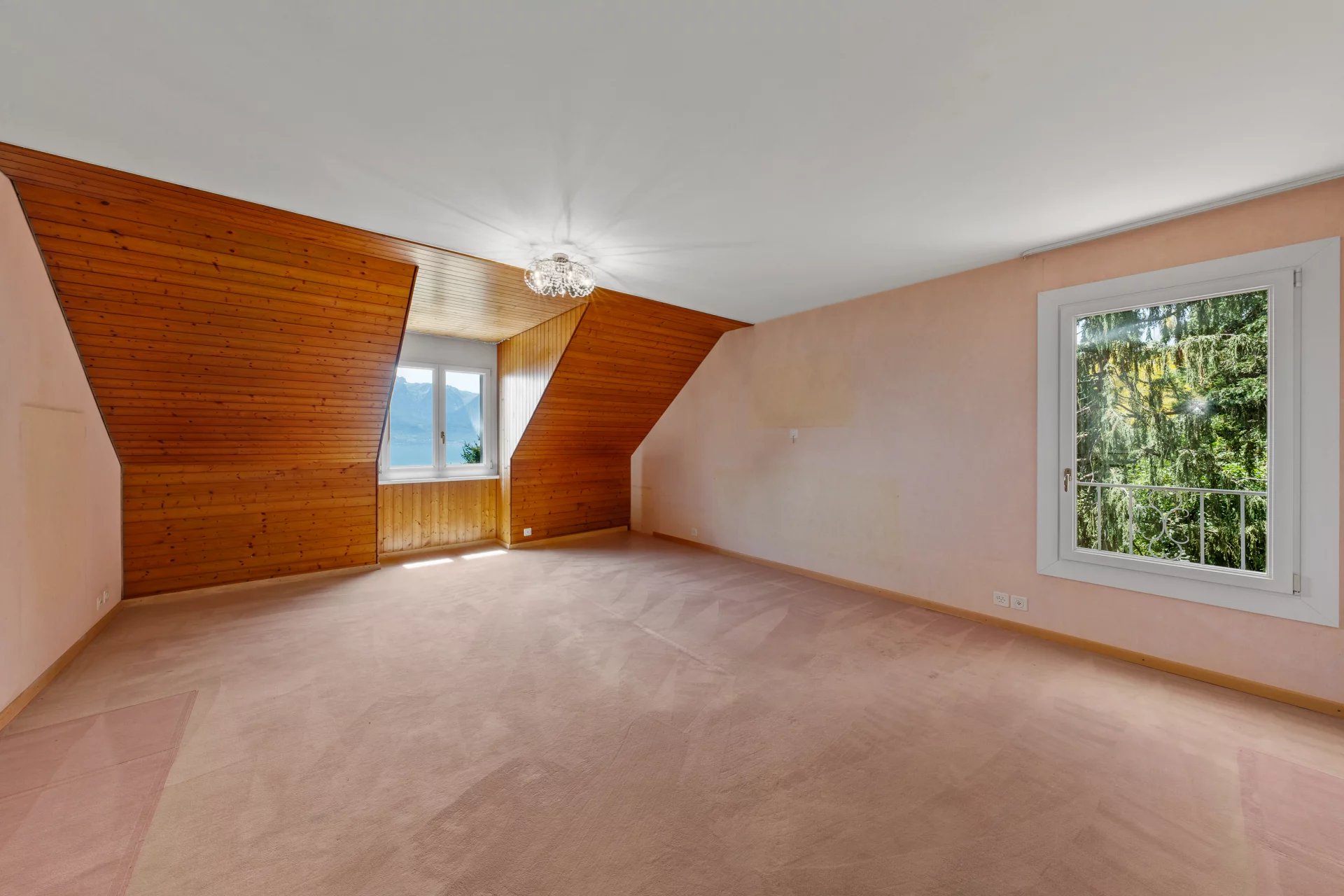 Calme et vue époustouflante sur le Lac !