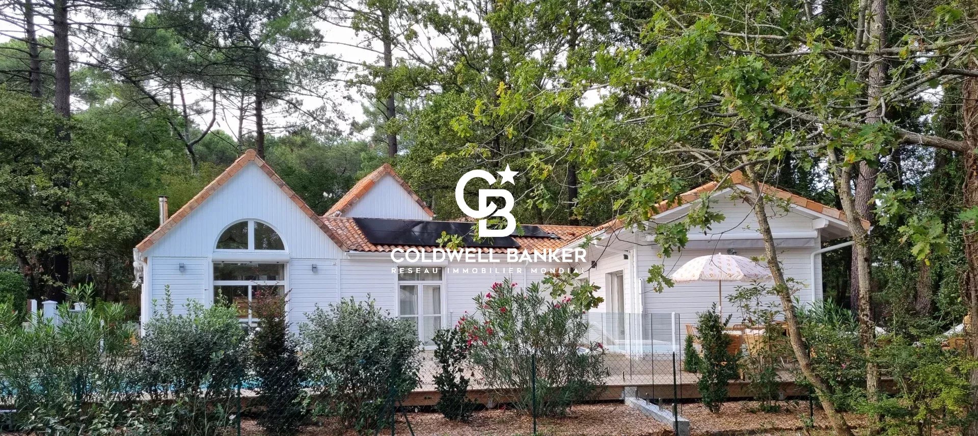 Agence immobilière de Silver Coast Int. Realty