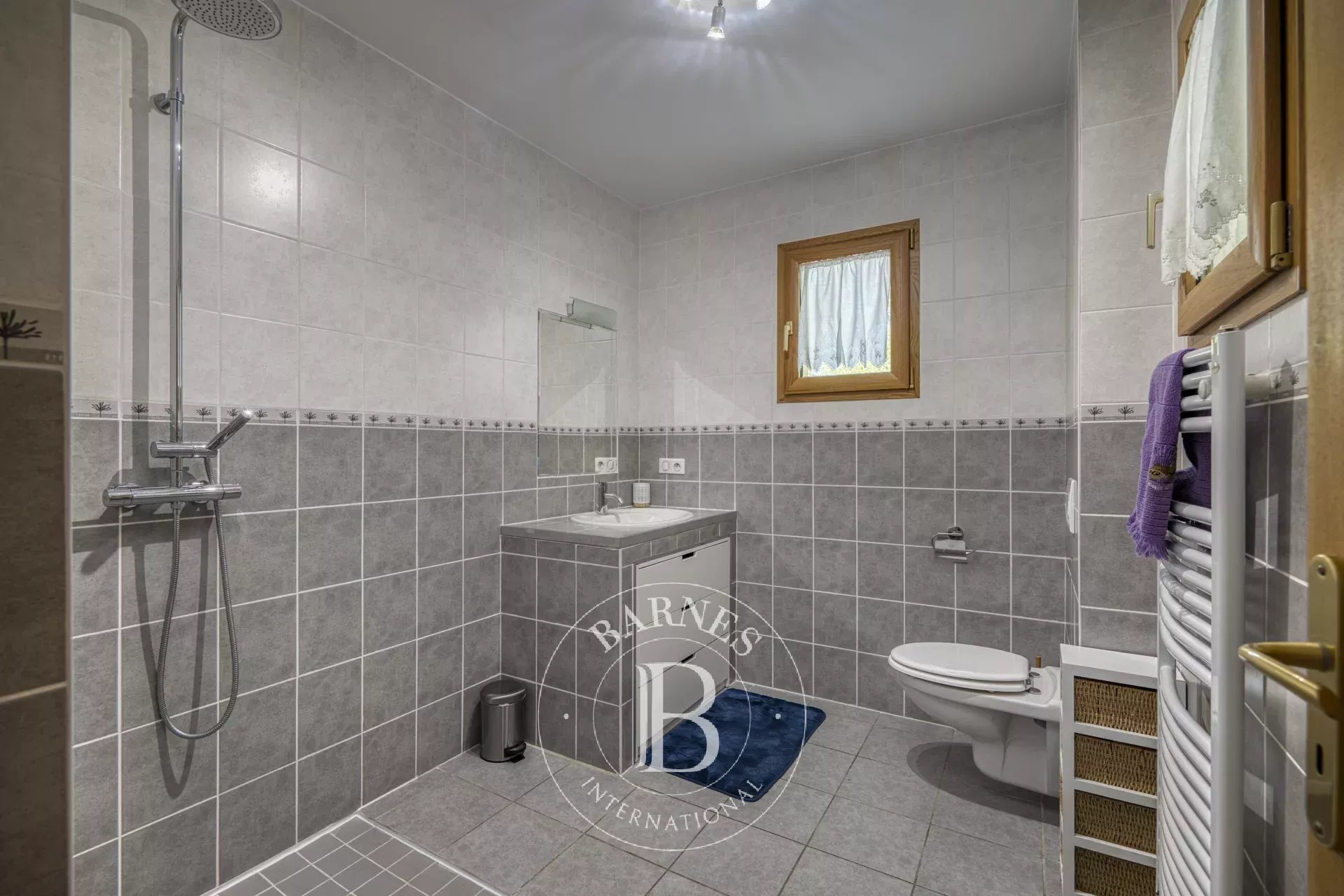 Ev Cranves-Sales - picture 11