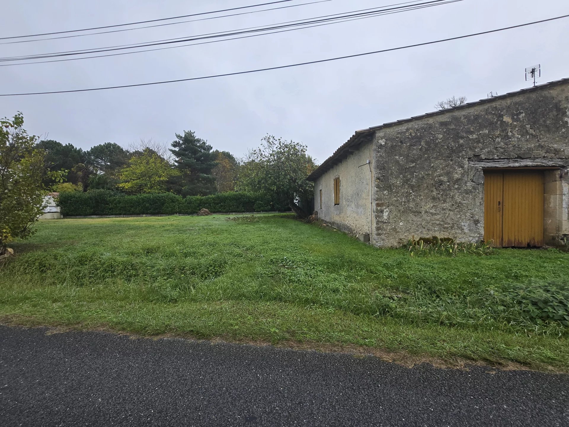 Agence immobilière de ROSER BEATRICE